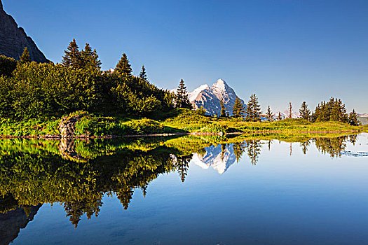 反射,艾格尔峰,顶峰,高山,湖,日出,伯尔尼阿尔卑斯山,伯恩,瑞士
