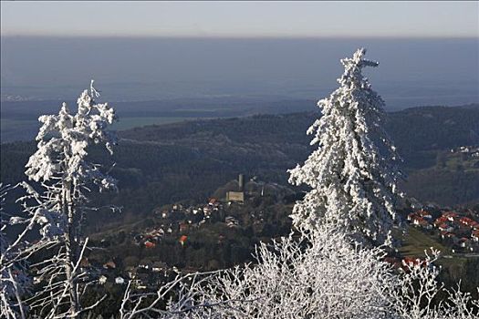 白霜,遮盖,树,格罗塞尔,山,黑森州,德国,冬天,天气