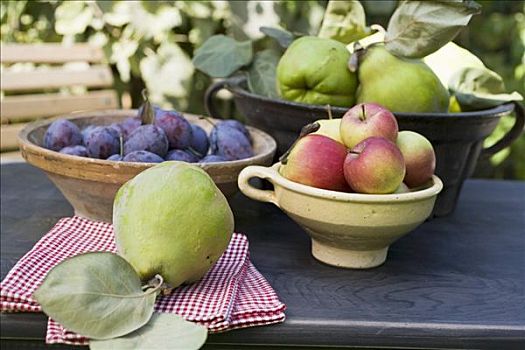 李子,苹果,榅桲树,碗,花园桌