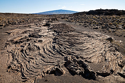 火山岩,盾状火山,背影,冰岛,欧洲