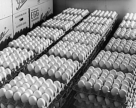 俯拍,蛋,鸡蛋盒