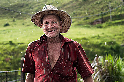 乡村,工作,咖啡,山谷,区域,里约热内卢州,巴西,南美