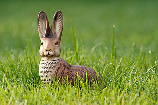 塑料制品,兔子,草