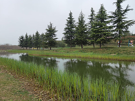 西安鹤鸣湖公园