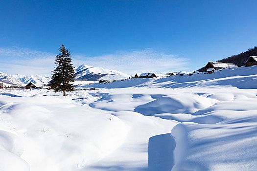 喀纳斯雪景,雪域风光