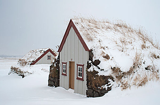 老,农舍,海岸,北方,冰岛