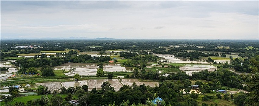 俯视,风景,稻田,泰国