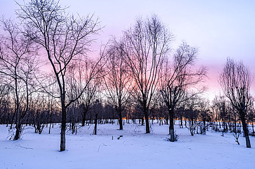 落日下的中国长春北湖国家湿地公园冬季风景