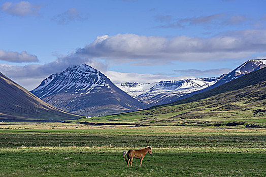 山,山丘,冰岛,欧洲