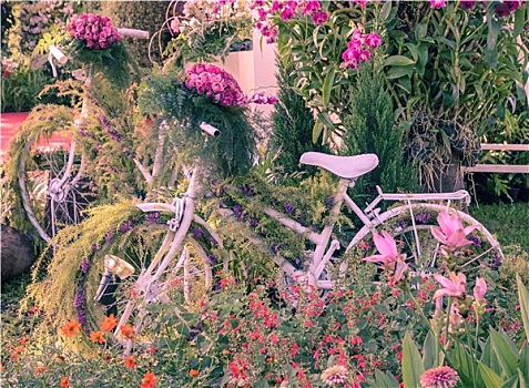 旧式,自行车,花园装饰