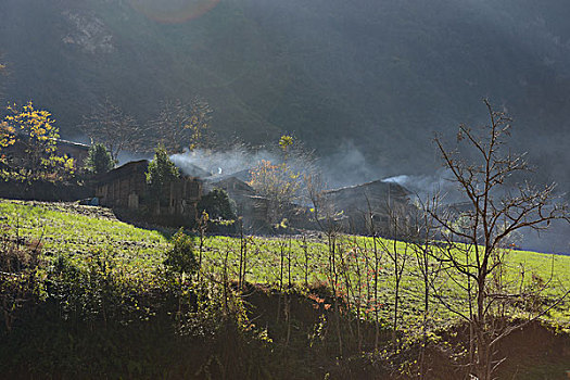 雾里村