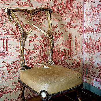 软垫,椅子,鹿角,正面,图案,壁纸,墙壁