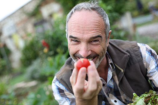 愉悦,老人,展示,西红柿,花园