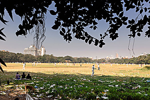 人,玩,板球,孟买
