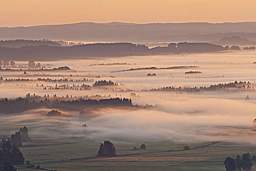 雾,上方,科赫尔湖,苔藓,高山,巴伐利亚,德国