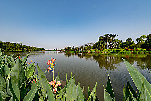 海珠湖