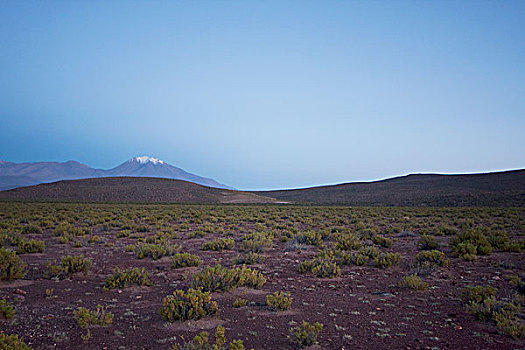 火山,黎明,安托法加斯塔大区,智利