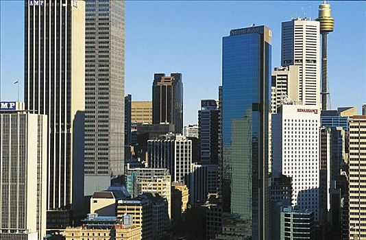 塔楼,高层建筑,悉尼,澳大利亚