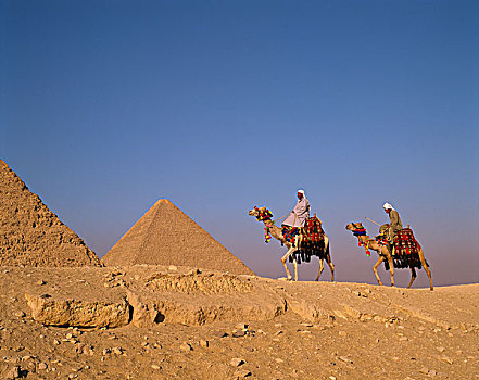 埃及,开罗,吉萨金字塔,卡夫拉,基奥普斯,金字塔,骆驼