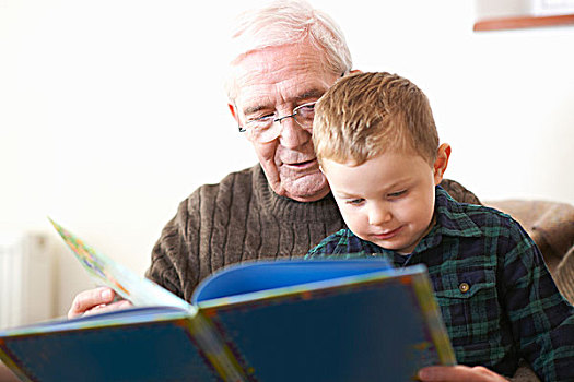老人,读,书本,孙子