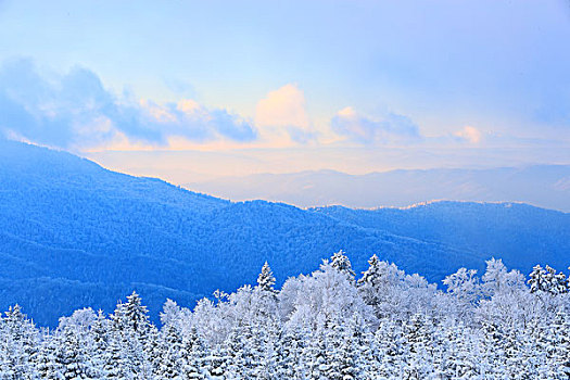 吉林省仙峰国家森林公园雪景