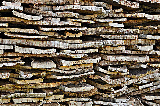 一堆,科克市,树皮,栓皮栎,萨丁尼亚,意大利,欧洲
