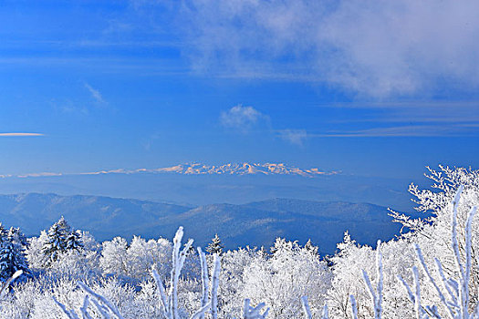 吉林仙峰国家森林公园远眺长白山