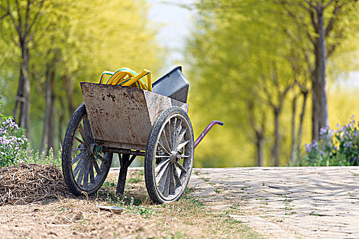 手推车,园艺,淳朴,wheelbarrow