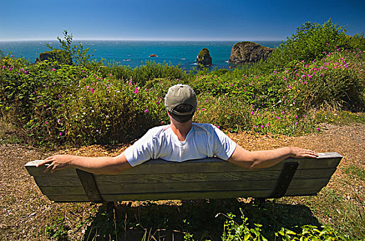 男人,坐,长椅,向外看,植物,海洋,海滩,州立公园,俄勒冈,美国