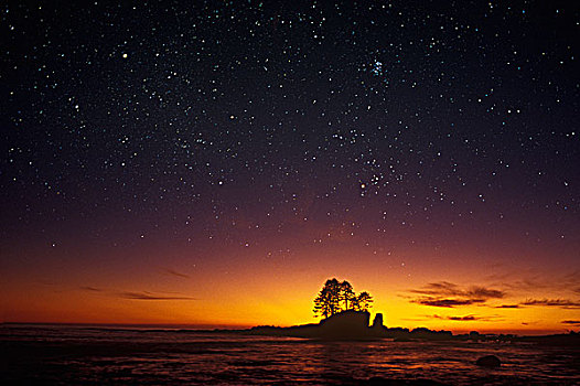 星星,天空,上方,西海岸小径,温哥华岛,不列颠哥伦比亚省,加拿大