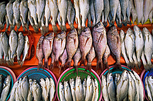 韩国,釜山,市场,鲜鱼,展示