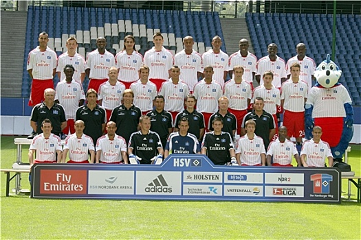 团队,2008年,2009年