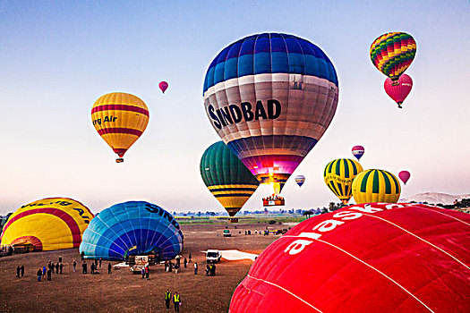 热气球,起飞,日出,飞行,西部,尼罗河,埃及