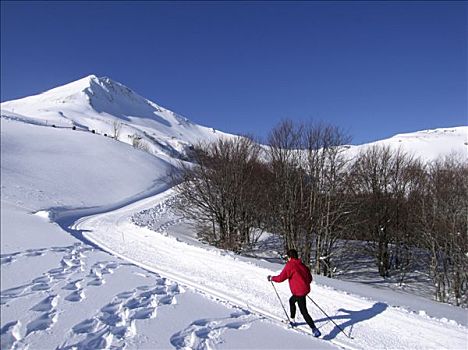法国,奥弗涅,女人,越野滑雪