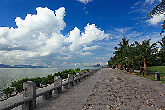深圳湾海滨公园
