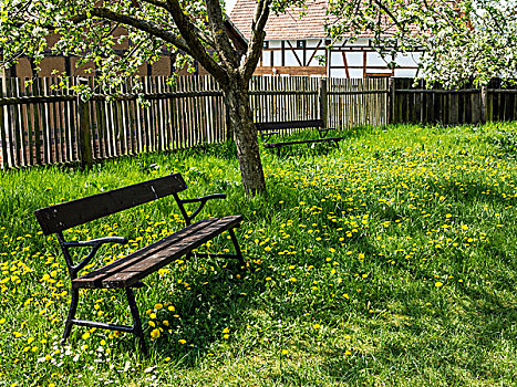 花园,长椅,图林根州,德国,欧洲