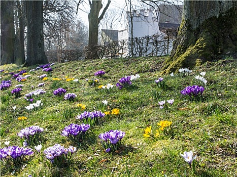 春天,巴伐利亚