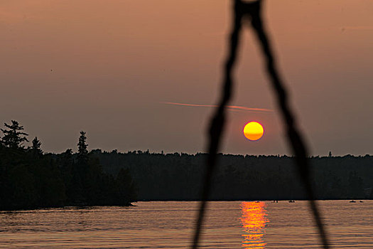 风景,湖,日落,木头,安大略省,加拿大