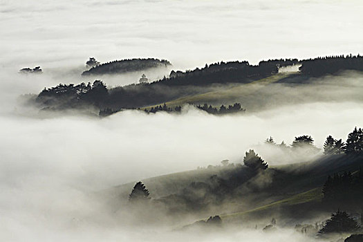 雾,上方,奥塔哥,港口,南岛,新西兰