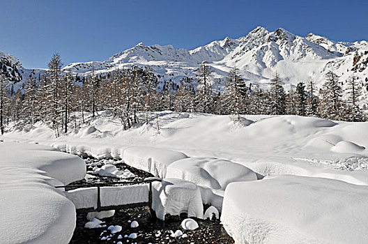 雪,山谷,南蒂罗尔,意大利