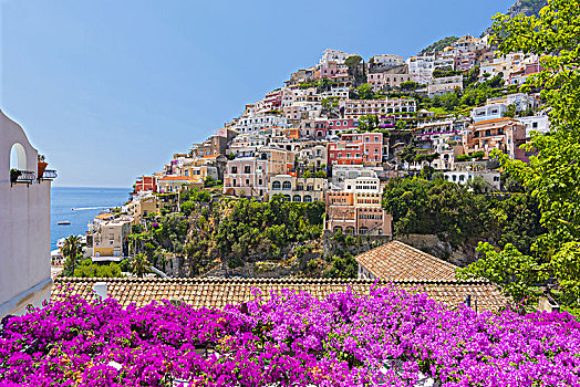 可爱,胜地,波西塔诺,向上,叶子花属,山坡,阿马尔菲海岸,意大利