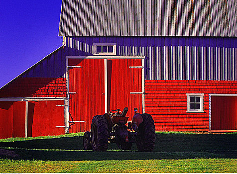 拖拉机,靠近,谷仓,爱德华王子岛,加拿大