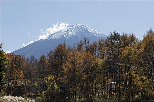 山,富士山,秋天,日本