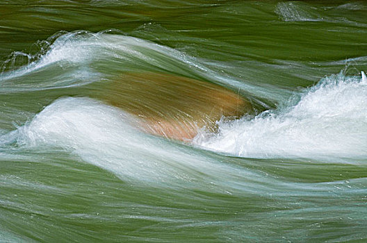 河,特写,碧玉国家公园,艾伯塔省,加拿大
