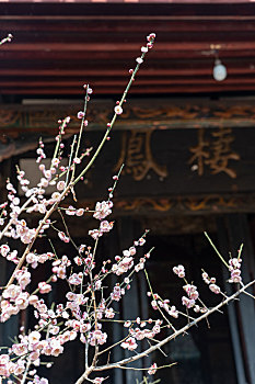 四川德阳罗江区白马关庞统祠