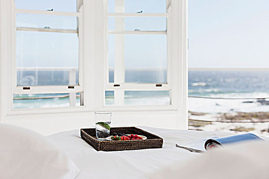 早餐托盘,杂志,床,远眺,海洋