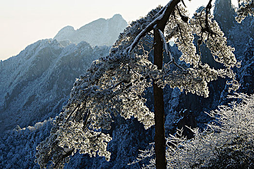 黄山风景区