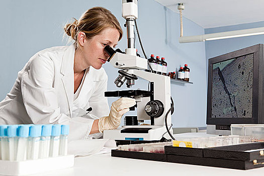 实验室人员,看,显微镜,实验室