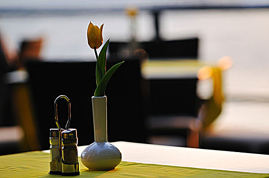 现代,餐厅桌子,户外,海上
