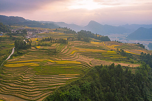 黄莲梯田